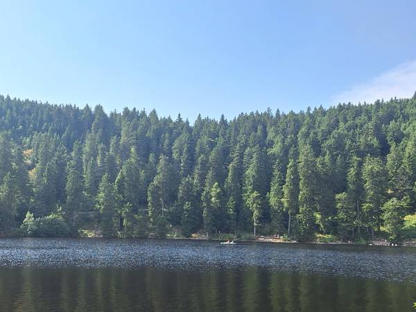 Blick auf den Mummelsee am gegenüberligenden Ufer Bäume und blauer Himmel